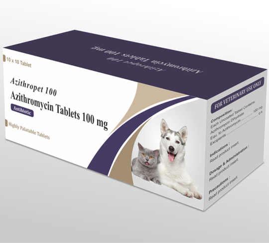 Azithropet 100 (Azithromycin Tablets 100 mg)