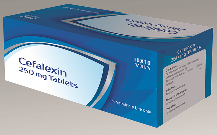 Cefalexin 250 mg Tablet