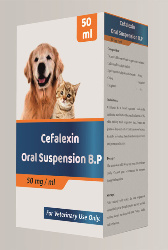 Cefalexin Oral Suspension 50 mg/ml Reyaansh Healthcare
