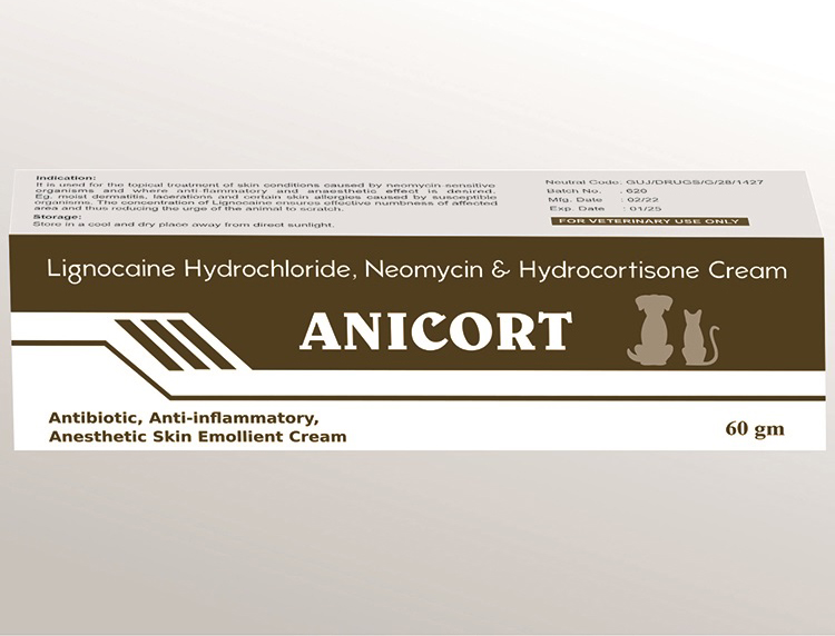 Anicort (Lignocaine Hydrochloride 20 mg ,Neomycin 5mg & Hydrocortisone Cream 5 mg)