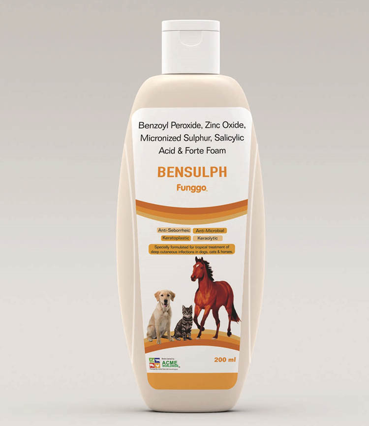 Bensulph Funggo (Benzoyl Peroxide 2.5% w/v, Zinc Oxide 0.25% w/v, Micronized Sulphur 2% w/v, Salicyclic Acid 1% w/v & forte foam.)