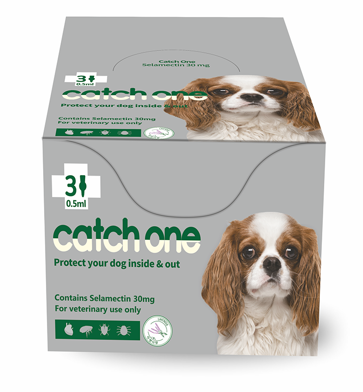 Catch One - Selamectin 60 mg/ml - Pack Size - 0.50 ml
