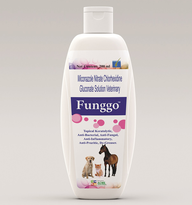Funggo Shampoo (Miconazole Nitrate 2% w/v, Chlorhexidine Gluconate 2%w/v Solution)