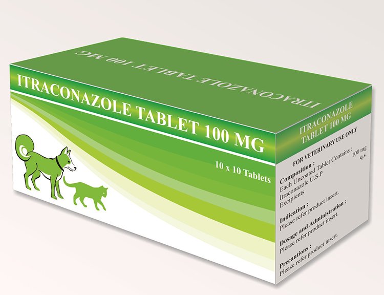 Itraconazole Tablets 100 mg