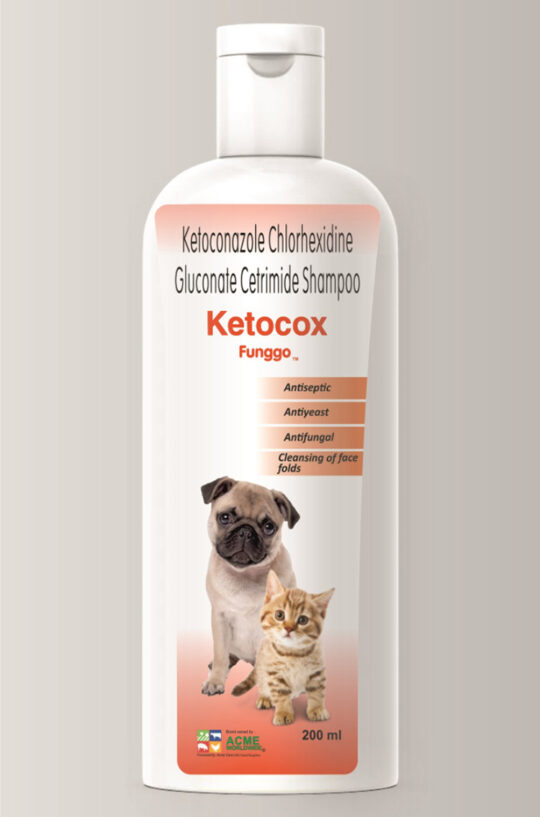 Ketocox Fungoo Shampoo (Ketoconazole 2% w/v, Chlorhexidine Gluconate 2% w/v Cetrimide 0.1% w/v Shampoo)