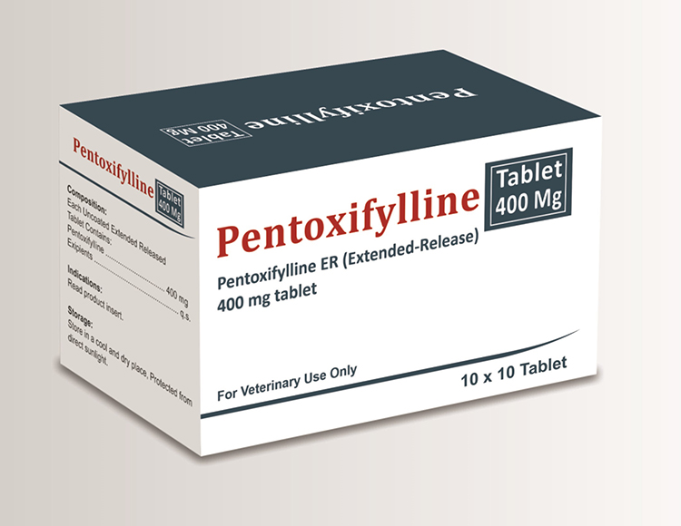 Pentoxifylline Tablet 400 mg - Pentoxyfilline ER (Extended Release ) 400 mg Tablet