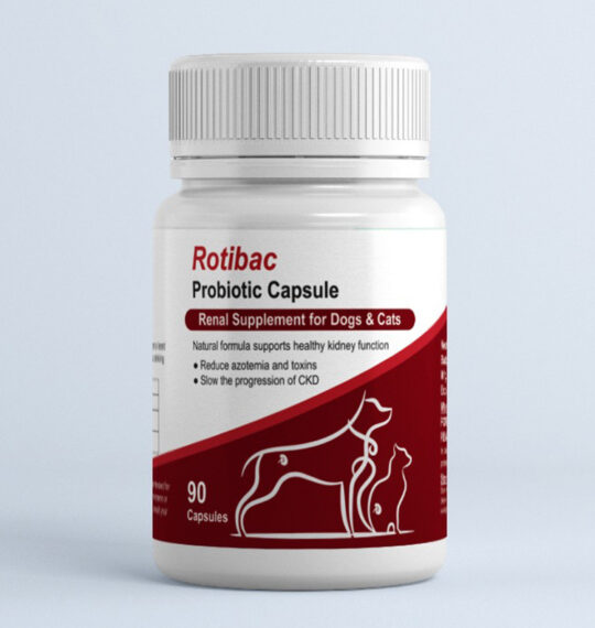 Rotibac Probiotic Capsules - Enterococcus Thermophilus + Lactobacillus Acidophilius + Bifidobacterium Longum