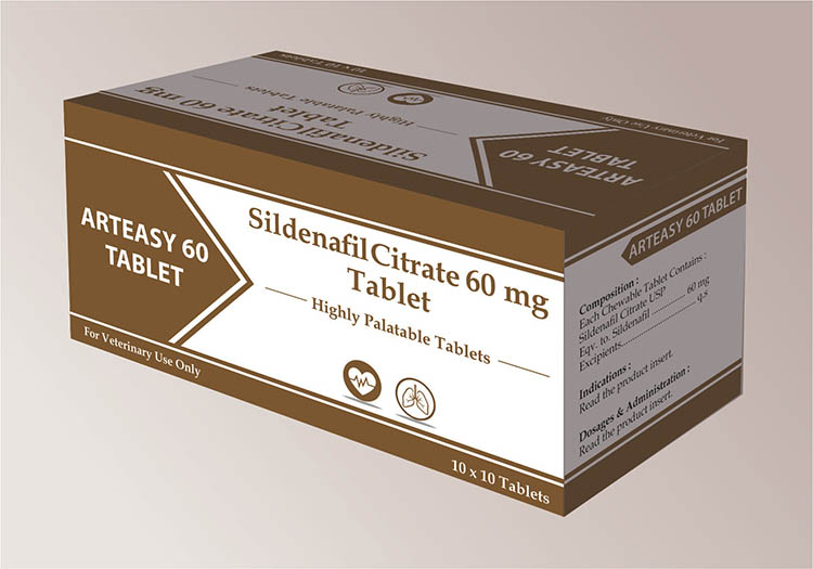 Arteasy 60