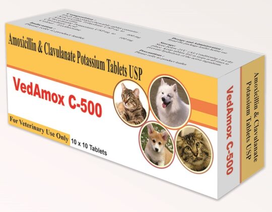 Vedamox C-500 (Amoxicillin & Clavulanate Potassium Tablets)